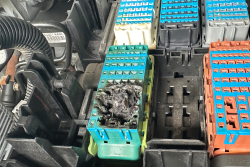 High-Performance Ford Engine Close-Up